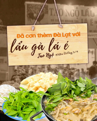 Review lẩu gà ở đâu Đà Lạt